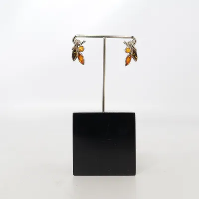 Earrings (Silver, Brown) Silver, Unknown metal