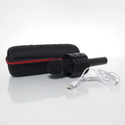 Microfoon (Zwart) van LifeGoods