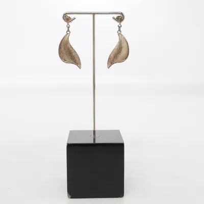 Boucles d'oreilles (Argent) Argent