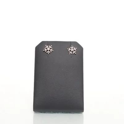 Oorbellen (Zilver) Zilver