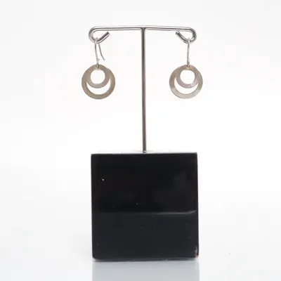 Oorbellen (Zilver) Roestvrij staal