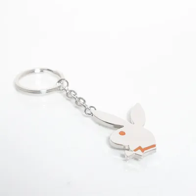 Sleutelhanger (Zilver, Oranje)