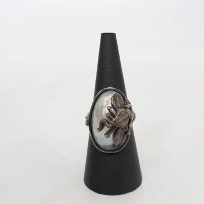 Ring (Silver) Silver