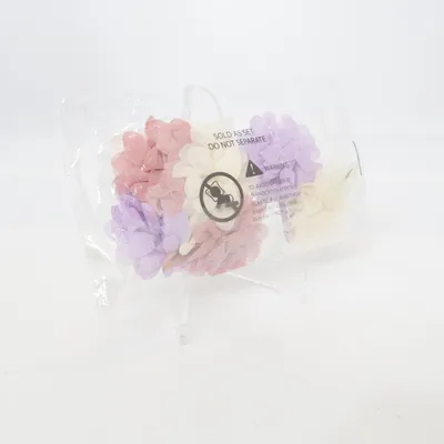 Barrette (Multicolore)
