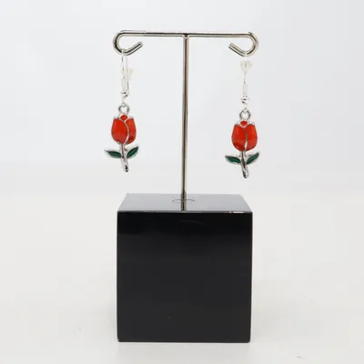 Oorbellen (Rood, Zilver) Zilver