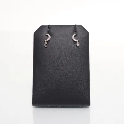 Earrings (Silver) Silver