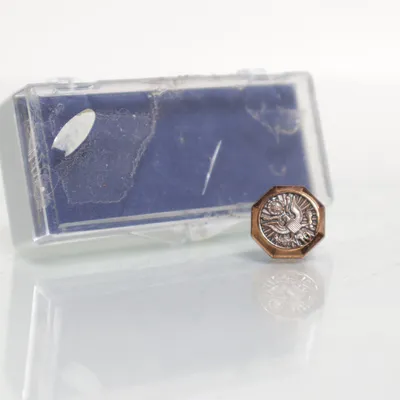 Pin (Guldfärgad) Okänd metall