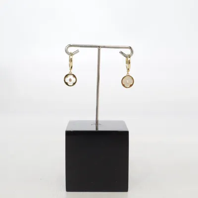 Boucles d'oreilles (Or) Or