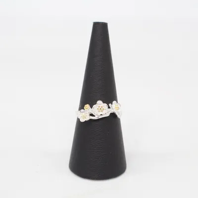 Bague (Argent, Or) Argent