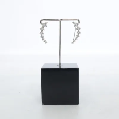 Oorbellen (Zilver) Zilver
