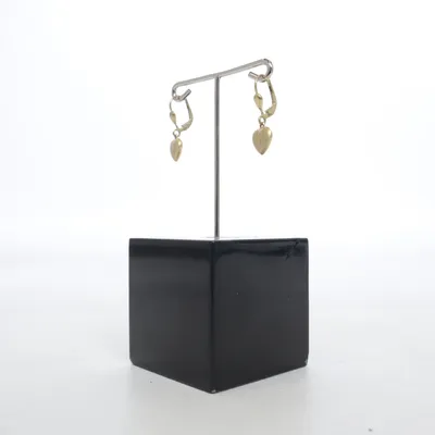 Örhängen (Guldfärgad) Guld