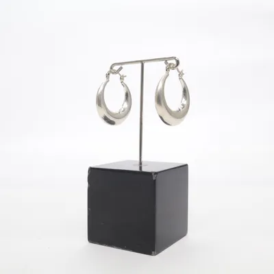Earrings (Silver) Silver