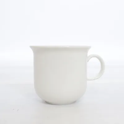 Mugg (Arctica) från Arabia Finland