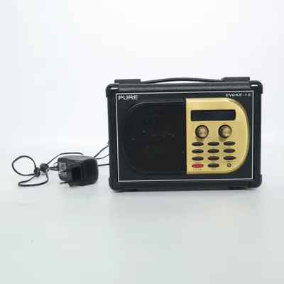Radio (Zwart) van Pure