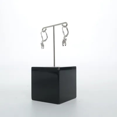 Oorbellen (Zilver) Zilver