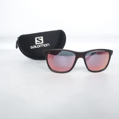 Sunglasses (Brown) from Salomon