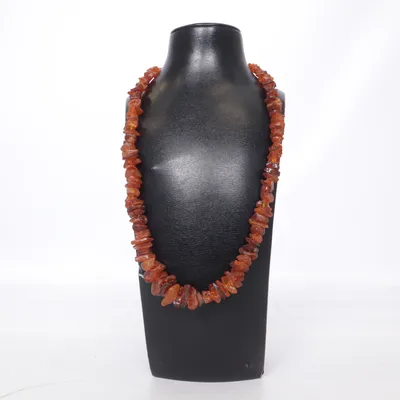 Halsband (Brun) Plast