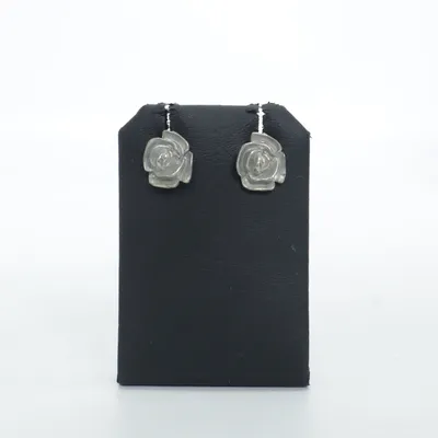 Oorbellen (Zilver) Zilver