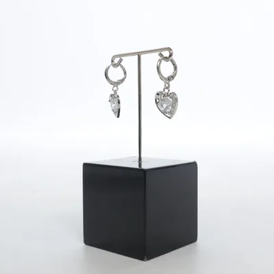 Earrings (Silver) Silver