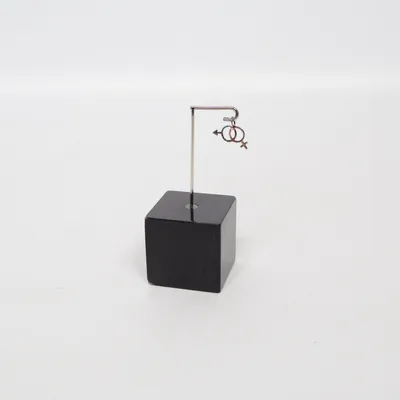 Hänge (Silverfärgad)