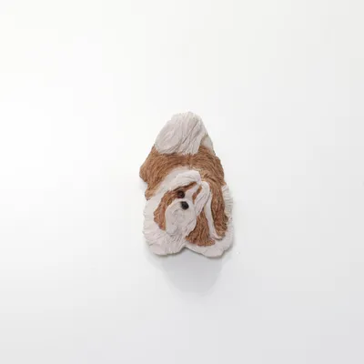 Figurin (Shih Tzu, Gold/ White, B24) från Sandicast