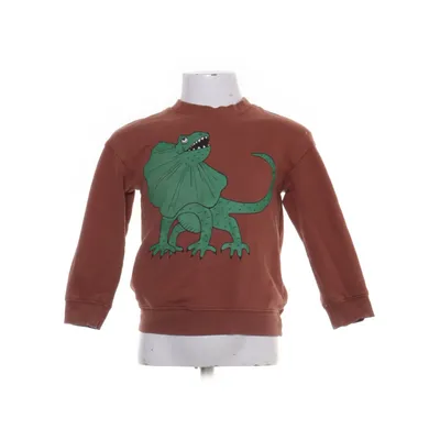 Sweatshirt (Brun) fra Mini Rodini Økologisk bomuld