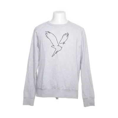 Sweatshirt (Grijs) van American Eagle Katoen, Polyester