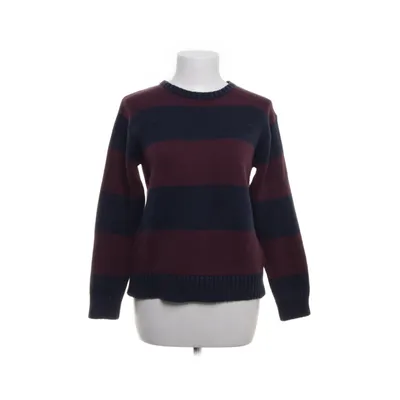 Trui (Lila, Blauw) van Polo Ralph Lauren Katoen