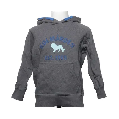 Hættetrøje (Kolmården Blue Hoodie) fra Kolmården Økologisk bomuld