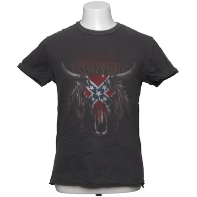 T-shirt (Grå) från Amplified Vintage Bomull