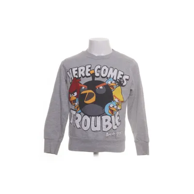 Collegetröja (Grå) från Angry Birds Bomull, Polyester
