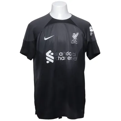 Fodboldtrøje (Grå) fra Nike
