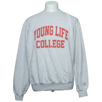 Sweatshirt (Grijs, Rood) van Champion