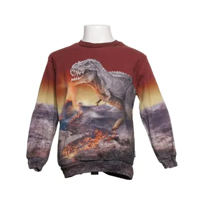 Sweatshirt (Mikel) de Molo Coton biologique