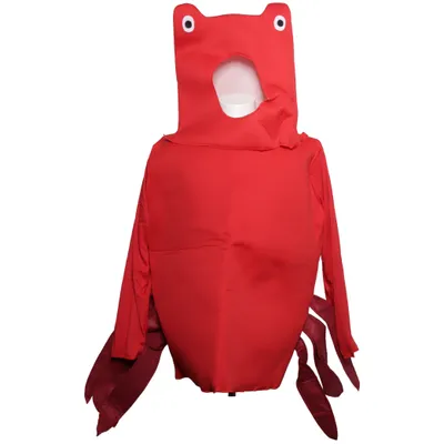 Fancy dress (Red) from Widmann Polyester