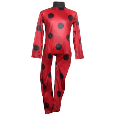 Fancy dress (Ladybug) from Rubies Polyester