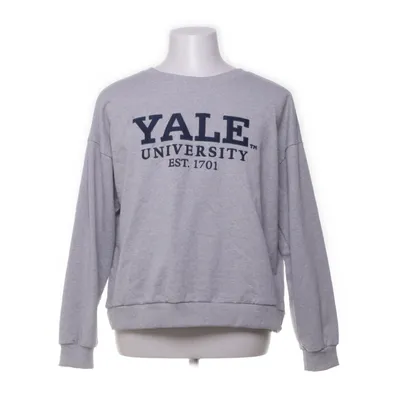 Sweatshirt (Grijs) van Yale