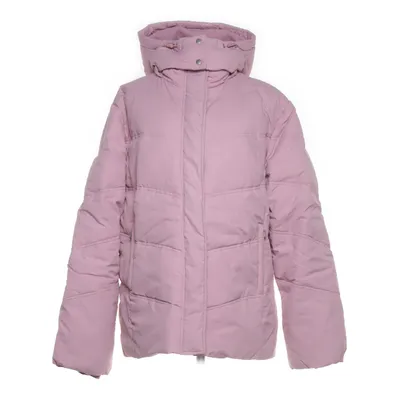 Dunjacka (Rosa) från Amica