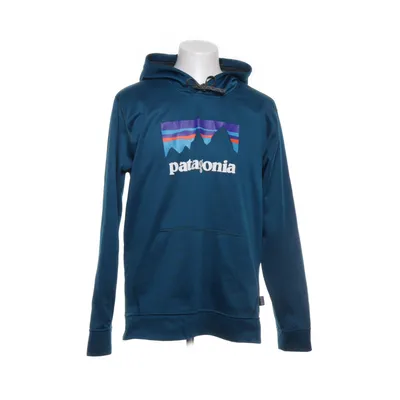 Huvtröja (Petrol) från Patagonia Polyester
