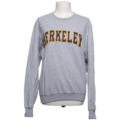 Sweatshirt (Gray) from Champion