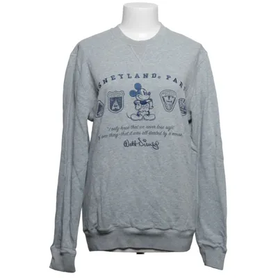 Sweatshirt (Gray) from Disneyland Paris Cotton