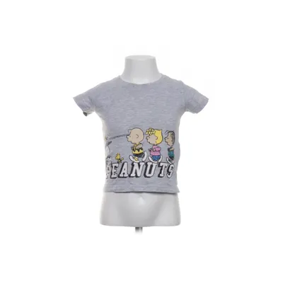 T-shirt (Grå, Flerfärgad) från Peanuts Bomull, Viskos