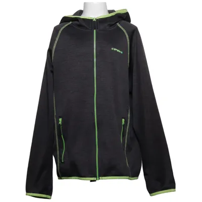 Hoodie (Gray) from Icepeak Polyester