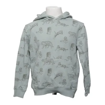Hoodie (Green) from ICA I Love Eco Elastane, Organic cotton