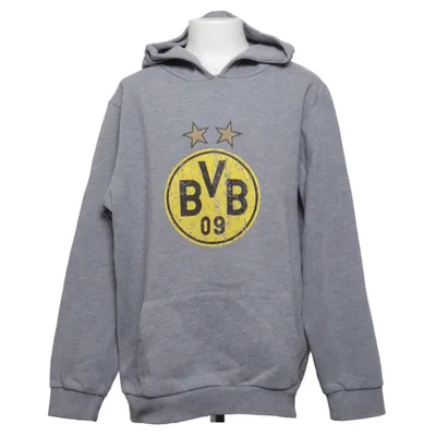 Sweat à capuche (Gris) de Borussia Dortmund Coton, Polyester