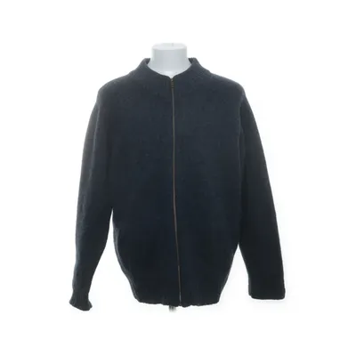 Cardigan (Blue) from L.L. Bean Wool