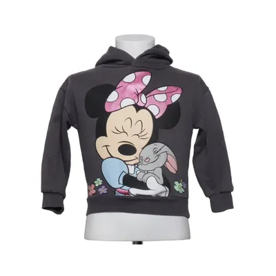 Kapuzenpullover (Grau, Mehrfarbig) von Disney by Primark Baumwolle, Polyester