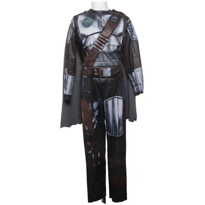 Fancy dress (Gray, Brown) from Rubies Polyester