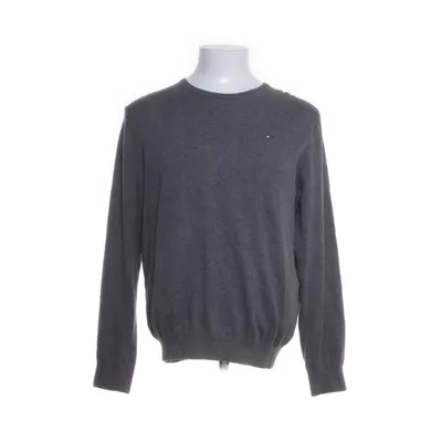 Tröja (Grå) från Tommy Hilfiger Bomull