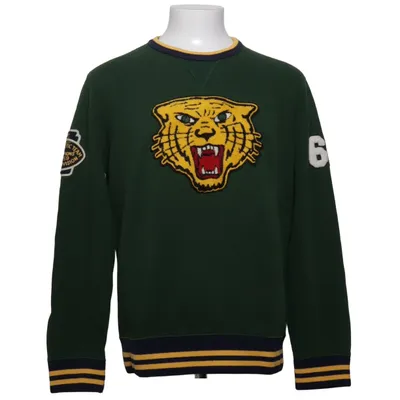 Sweatshirt (Vert, Bleu, Jaune) de Polo Ralph Lauren Coton, Polyester